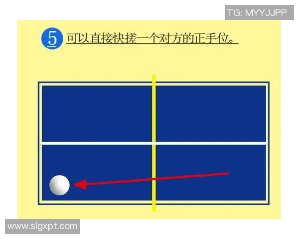 深入分析北京乒乓球队防反打法的战术特点与应用策略