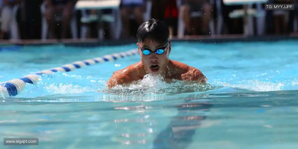 ⚾️从本土联赛到国际巅峰，我们承包你的所有热爱！🌍