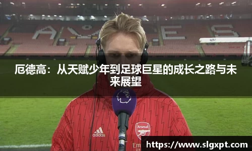 熊猫体育平台
